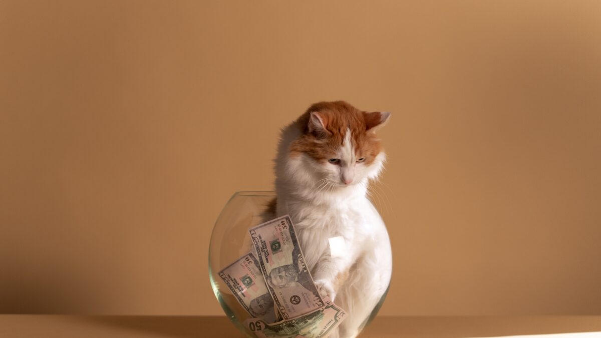 Pet-Proof Your Budget: How to Save Money on Pet Care