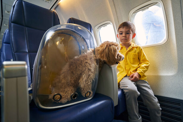 Young boy in yellow shirt sitting calmly by the airplane window next to his fluffy poodle dog in a clear pet carrier during flight, peaceful family pet travel moment