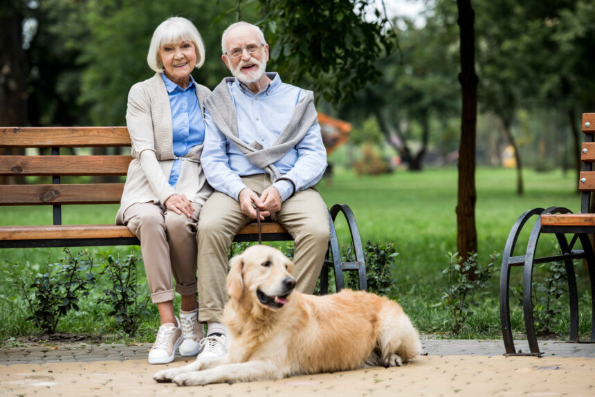 A smiling senior couple sitting on a wooden park bench with their Golden Retriever dog lying at their feet.