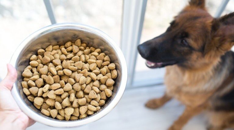 Best Dog food for German Shepherds: Ultimate Guide - Pets and Paws