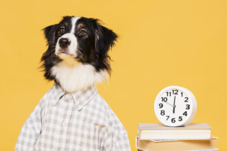 Do Dogs Understand Time? The Puzzling Nature of Time for Dogs