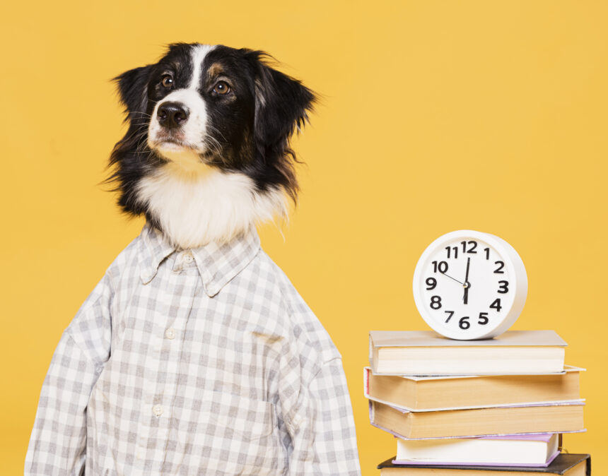 Do Dogs Understand Time? The Puzzling Nature of Time for Dogs